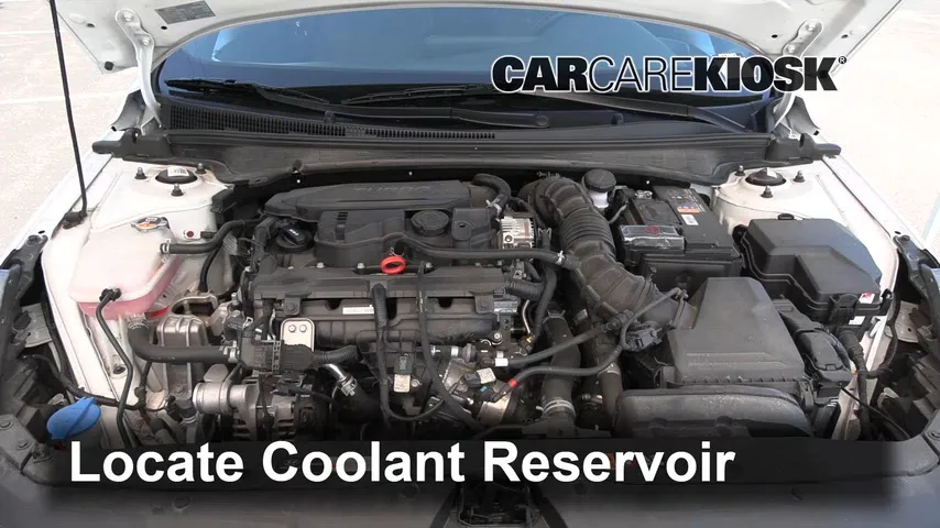 2021 Hyundai Elantra N Line 1.6L 4 Cyl. Turbo Refrigerante (anticongelante)